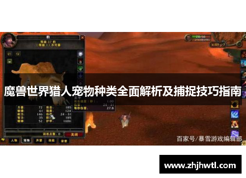 魔兽世界猎人宠物种类全面解析及捕捉技巧指南